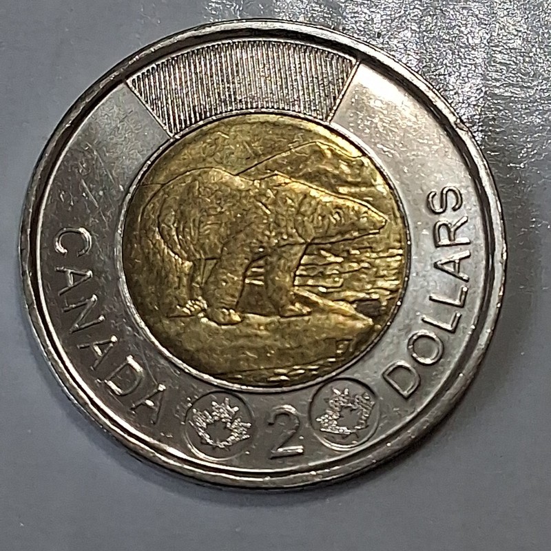2022 CANADA 2 DOLLARS Coin - Authentic VF QE2 (Toonie) Bear Theme Bimetallic