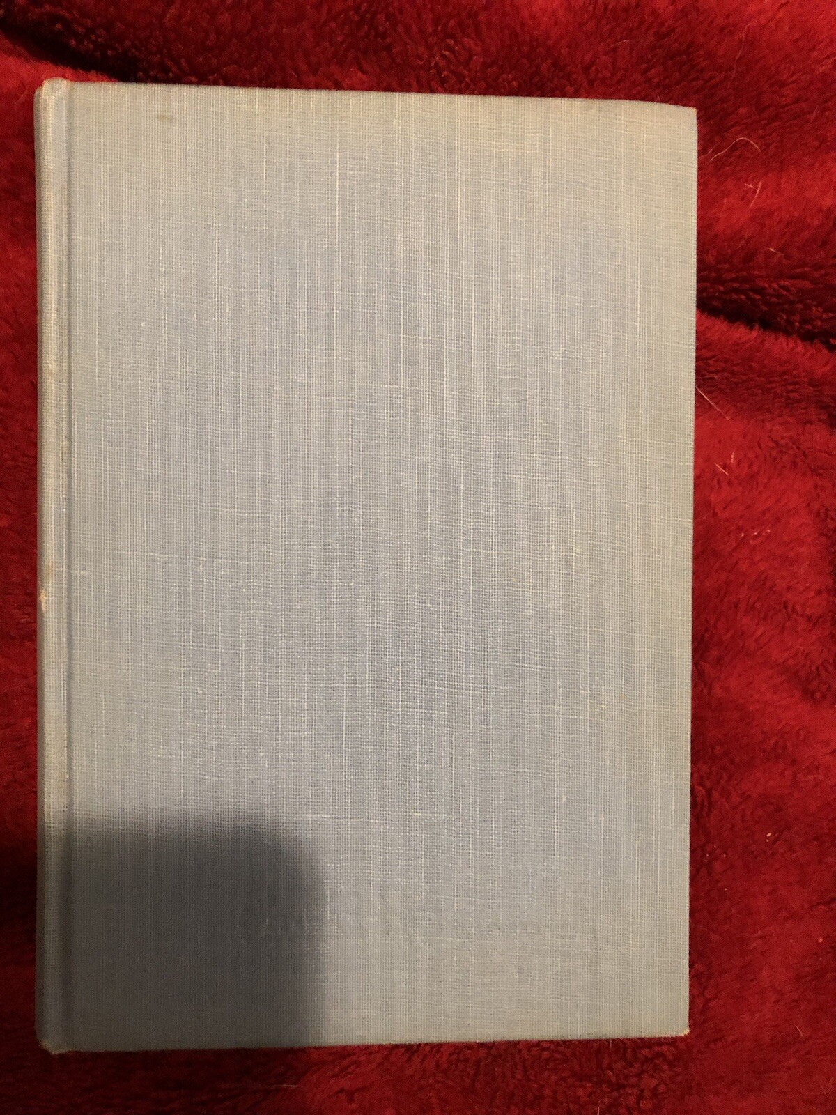 Picture 5 of 13
