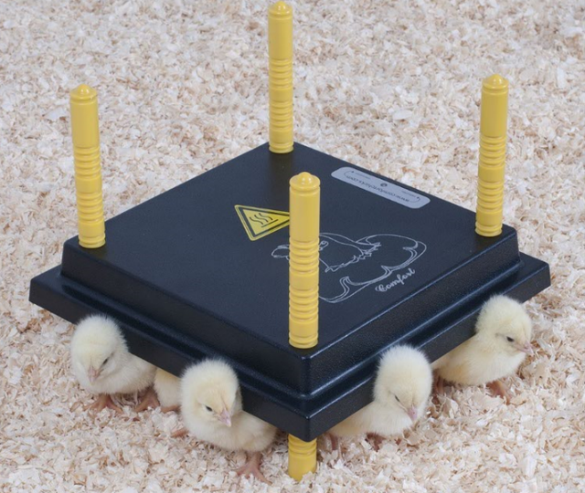 Comfort 25cm Chick Brooder Heat Plate 0 5l Drinker 30cm Feeder