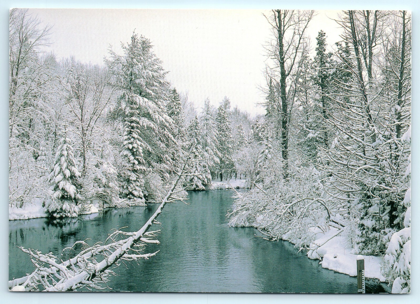 Picture 2 of 4