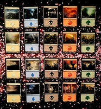 GirlGames - PACK FRESH TIME SPIRAL COLLECTOR SET NM - MTG BASIC LAND 1X EACH TSP