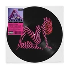 Madonna  Confessions II - Ltd Edition Grindr Picture Disc Vinyl presale 03.07.26