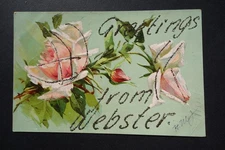 Greetings from Webster MASS MA glitter embossed flower postcard p/u 1906