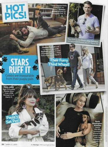 Us Weekly Magazine Melania and Donald Trump Best Star Makeovers Ben Affleck - Picture 4 of 6