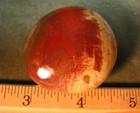60g PETRIFIED WOOD PALMSTONE MADAGASCAR POLISHED RED/BROWN/TAN/WHITE #201 — photo 4