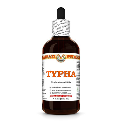 Typha (Typha Angustifolia) Tincture,  Dried Pollen Liquid Extract