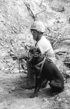 WW2 Picture Photo Iwo Jima US Marine with his Dog ready to fight  3731