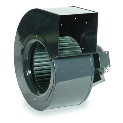 Dayton Rectangular OEM Blower, 1020 RPM, 1 Phase, Direct Drive, Steel 1 Speed