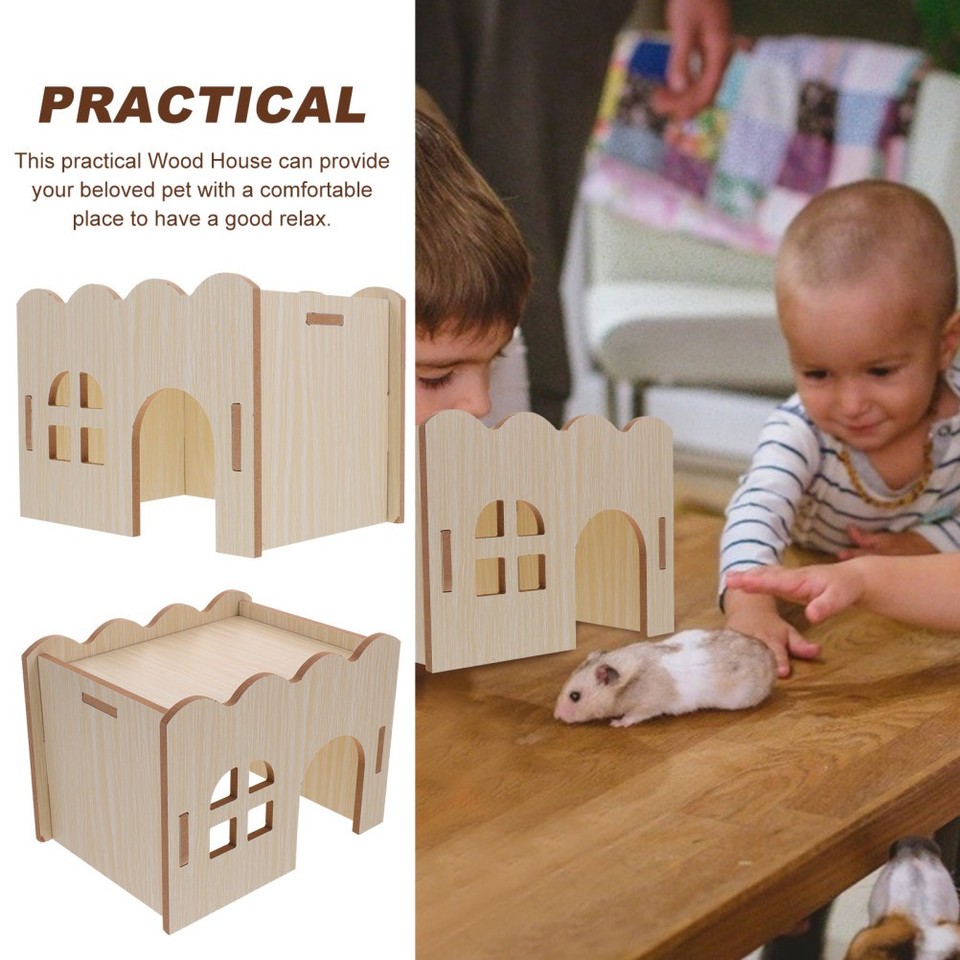 Hamster Activity Center Sale