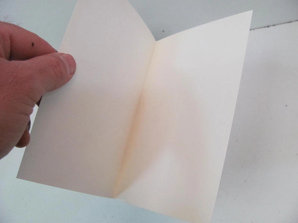 LOTE DE 18 TARJETAS DE NOTAS DE FELICITACIÓN SELLO PUERTO gráficos Crane Creek Foto 4 de 4