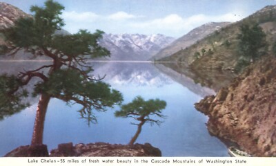 Lake Chelan Cascade Mountains Washington  State Progress Committee 1946 Postcard
