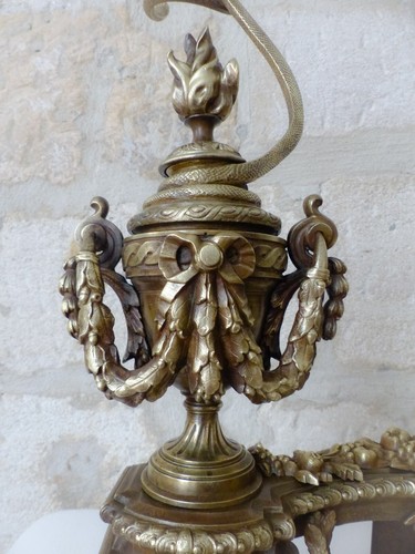 19TH Spectacular RARE French Antique Bronze Pair Andirons Fireplace Snake & Lion - 第 15/20 張圖片
