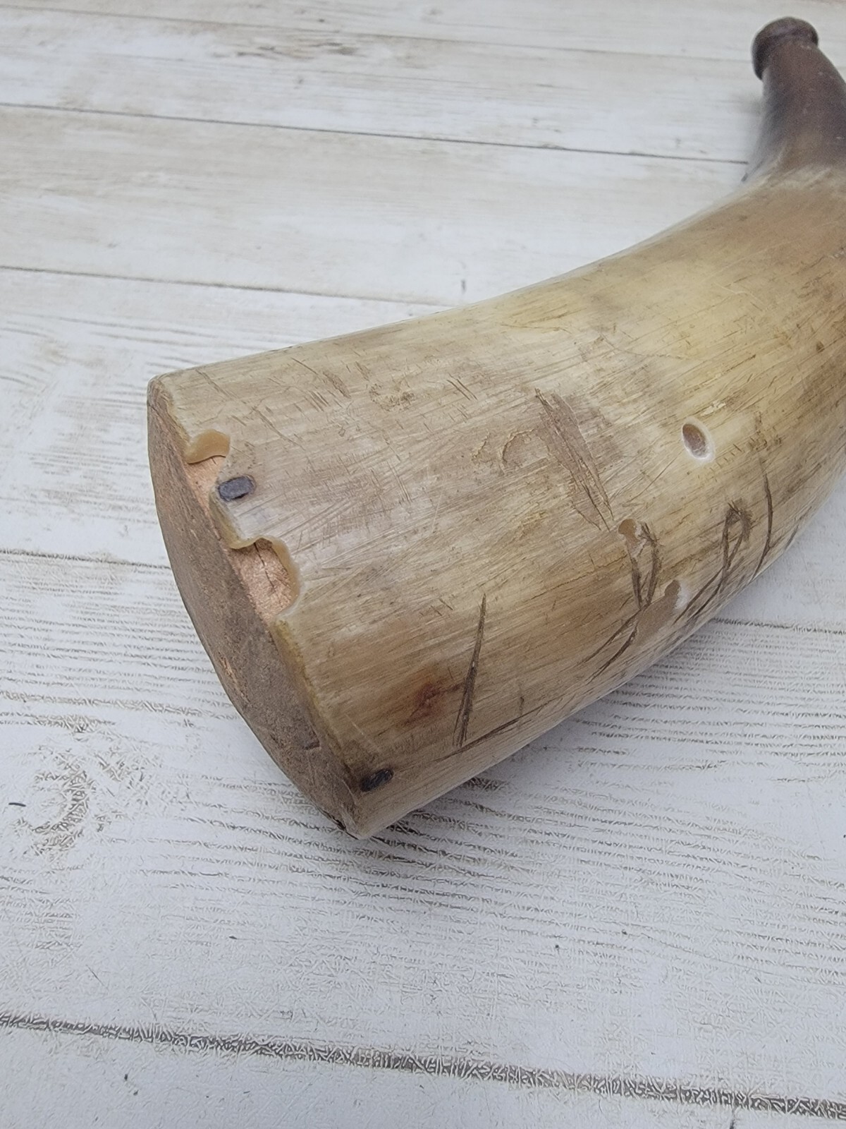 Antique Vintage Powder Horn OLD Rare 1887 Carved on Side eBay