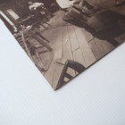 Bild 6 von 15