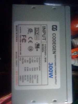Codegen 300 W  Model 300x1