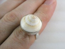 Sterling Silver Top Shell Statement Ring 925 Size 8.5 Weighs 6.6g