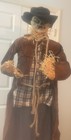 Grandin Road Silas the Animated Scarecrow retired Halloween Animatronic HTF — photo 4