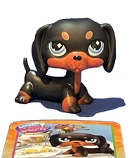 Littlest Pet Shop #242 Dachshund  Black Dog 2025 G7 Series 4 LPS New Release