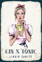 Holzschild 18X12 Cm Alkohol Gin & Tonic Liquid Sanity Deko Geschenk Holz Schild
