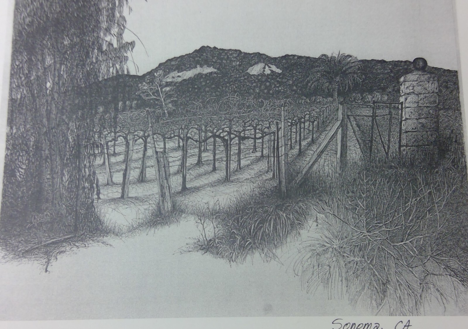 Picture 4 of 16