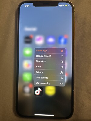 iPhone 12 Pro Max With TikTok 