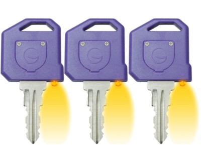 (3 Keys) Global Link Precut LED Key With Light For RV Lock Code G383
