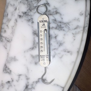 Hanson Viking Jr. Spring Hanging Fish Weighing Scale Silver 6in 4oz