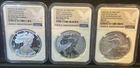 2006-W-P Silver American Eagle Anniversary Set - Graded NGC PF70 MS70 Reverse RP