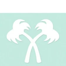 In N Out Burger Car Window Decal Sticker Vinyl (Palm Trees) 2.50 x 3 INO