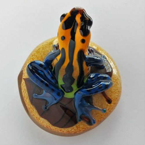 Orient and Flume David Smallhouse Art Glass Paperweight Frog Yellow Dart Frog - Picture 8 of 12