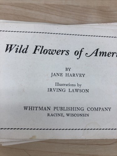 WILDFLOWERS OF AMERIKA ~ antikes Softcover ~ Jane Harvey & Irving Lawson um 1932 - Bild 4 von 8
