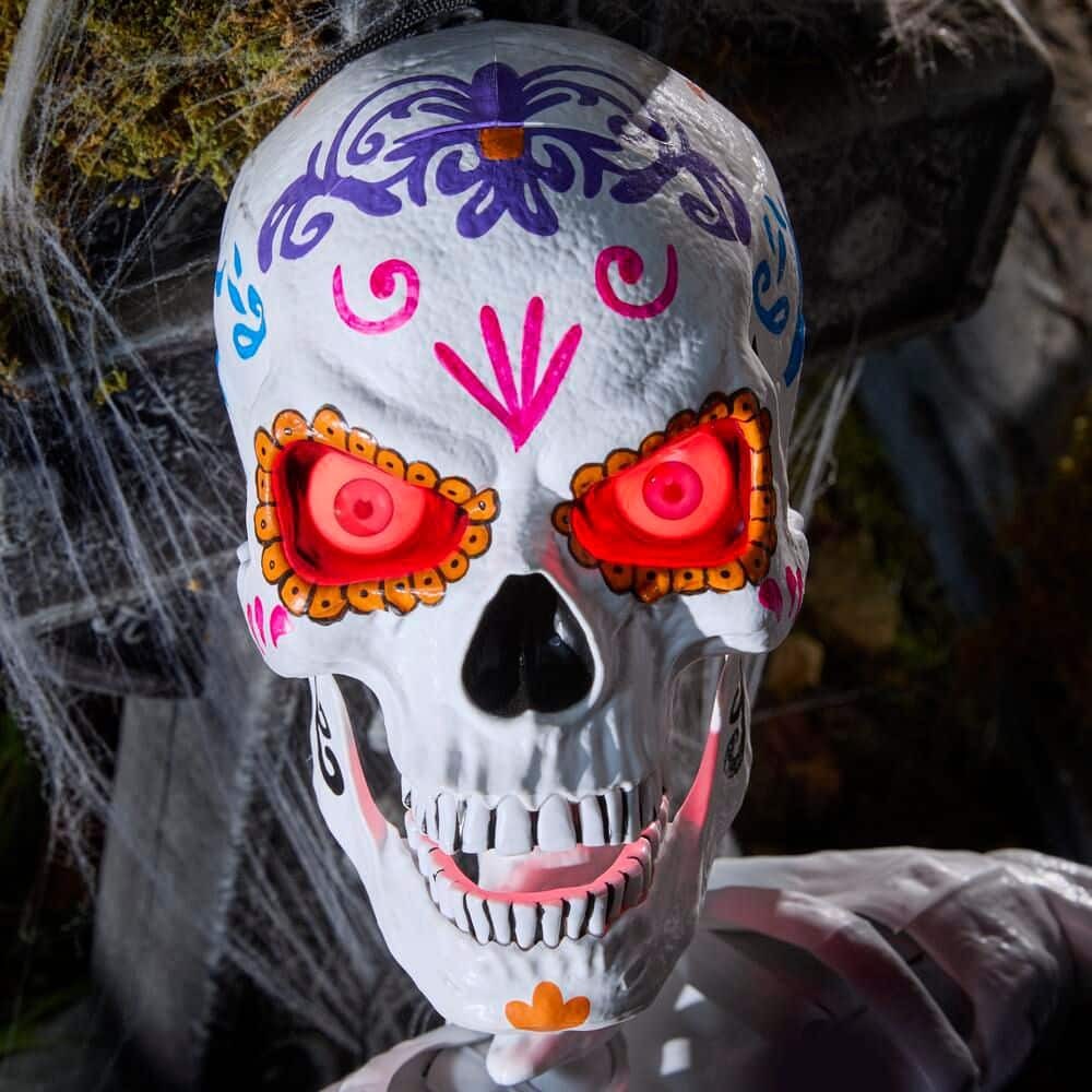 限定10体 planetx CADAVER  HALLOWEEN SPECIAL 限定10体 planetx CADAVER HALLOWEEN SPECIAL