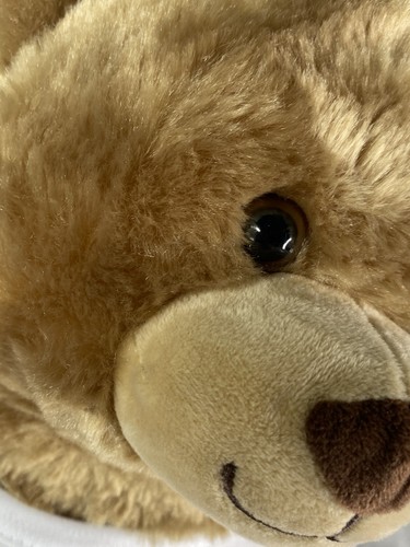 Build-A-Bear Workshop at Sea | Carnival Cruise Line St. Jude Care to Play plush - Picture 6 of 14