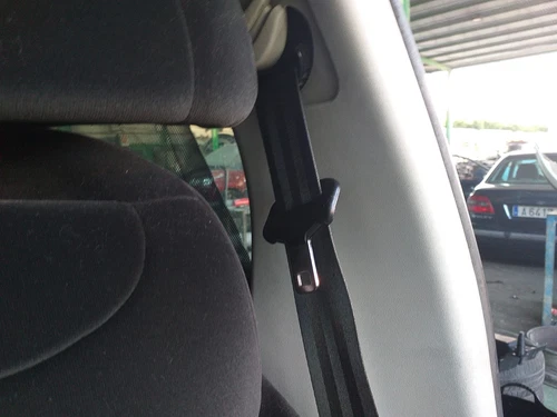 Guarnecido Puerta Delantera Izquierda para CITROEN GRAND C4 PICASSO 2010 336860 - Imagen 15 de 19