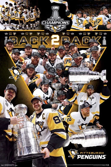 SPORTS POSTER WAREHOUSE Pittsburgh Penguins 2017 Stanley Cup Back-to-Back CELEBRATION NHL 24x36 POSTER