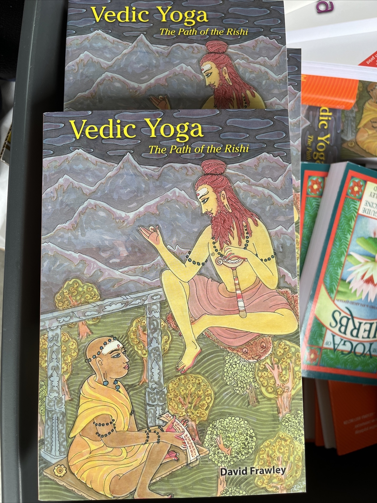 Vedic Yoga : The Path of the Rishi by David Frawley (2014, Trade ...