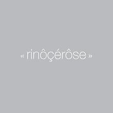 Rinocerose (Special Version) von Rinocerose | CD | Zustand sehr gut