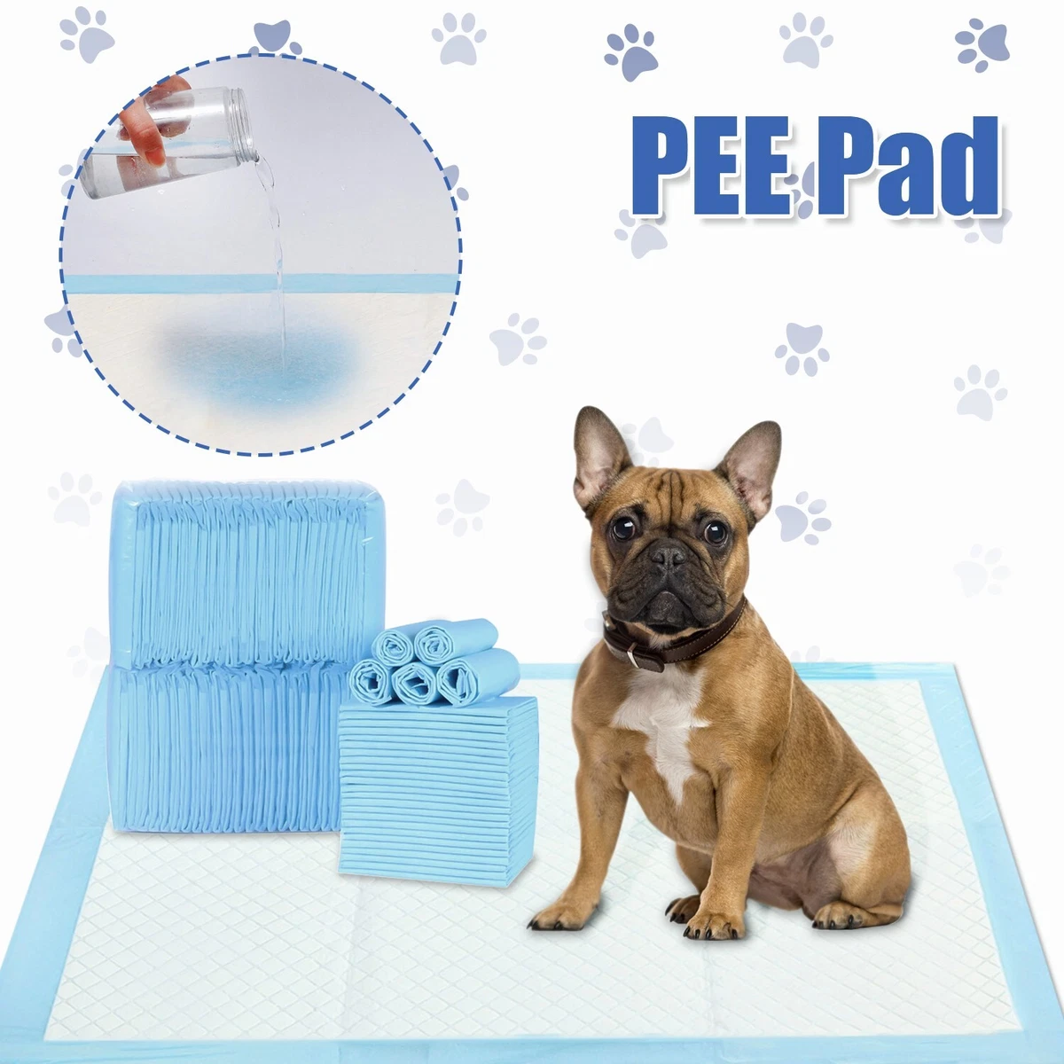 How Do You Train An Older Dog To Use A Puppy Pad