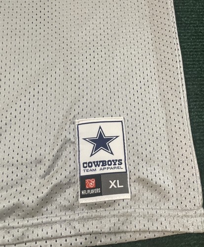 DeMarco Murray Dallas Cowboys Team Apparel Jersey Gray Boys Youth XL #29 - Picture 2 of 7