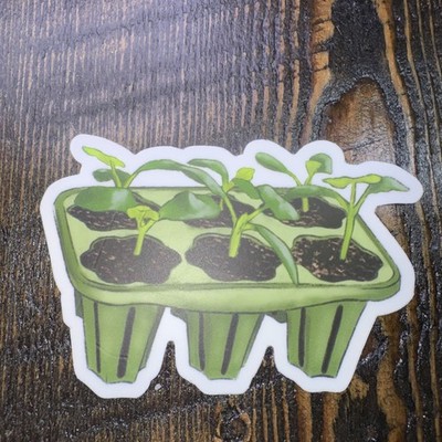 Seed Germination Starter Sticker 3'' Water Bottle Laptop Locker Phones Helmets