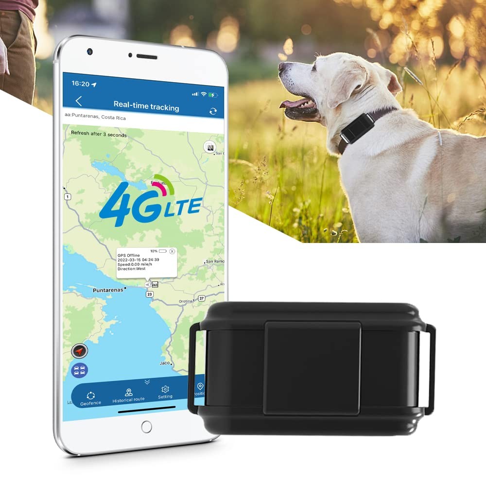 Tracker Suivi en Temps Réel et Micro Vocal pour Chien de Chasse IP67