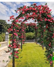 White Metal Garden Arch 98.5in x 59in Weather Resistant Climbing Plant Decor