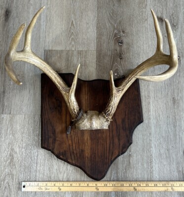 洋楽 US PROMO 2LP ARTIFACTS BUCKWILD DITC Artifacts x Buckwild - No Expiration Date Vinyl | Smoke On Records