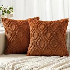 MIULEE Burnt Orange Fall Throw Pillow 20 x 20 (Pack of 2), 