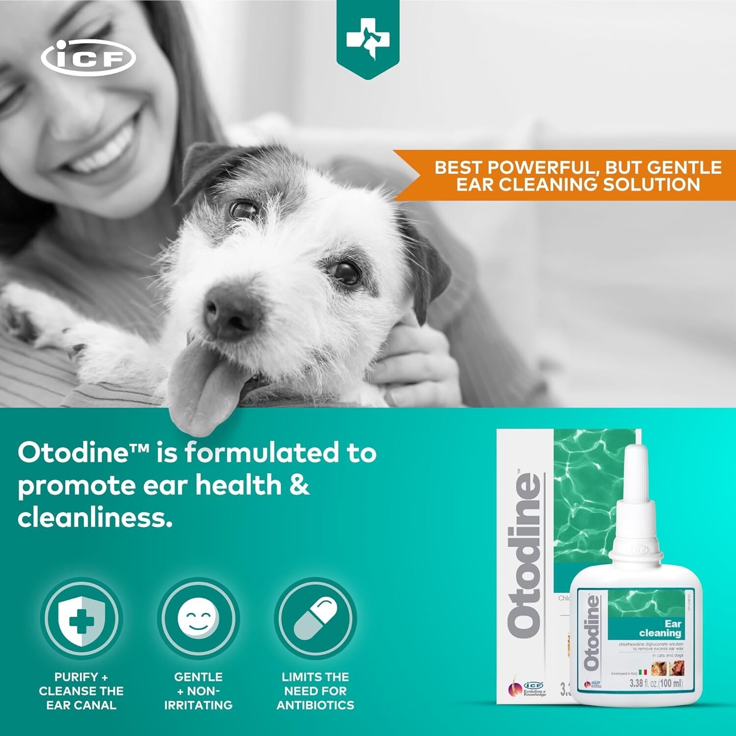 Otodine Ear Cleaner Antibacterial Solution For Pet Dog Cat 100ml eBay