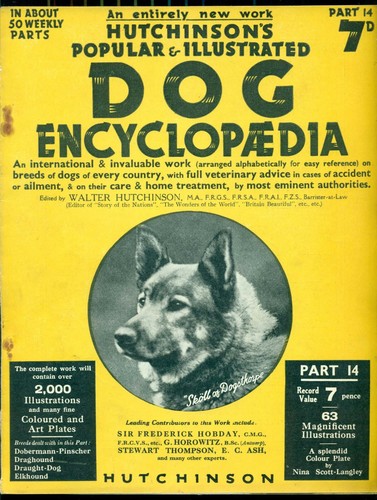 HUTCHINSONS DOG ENCYCLOPAEDIA MAGAZINE PART 14 DOBE, DRAGHOUND, ELKHOUND - Picture 2 of 7
