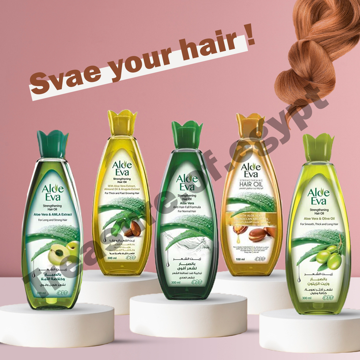 Aloe Eva Hair Strength Oil Aloe Vera, Olive, Almond, Argan, Arugula, Amla  300 ml | eBay
