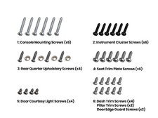 1965-1966 Ford Mustang Pony Interior Hardware Screw Kit 40 Piece Set 1965-1966 Ford Mustang Pony Interior Hardware Screw Kit 40 Piece Set