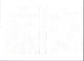 Sega Master System PAPERBOY w/Cartridge, Instructions & Box (CIB)