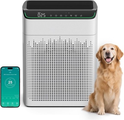 FLANUR Smart Home Air Purifier HEPA 1690 ft² Double-sided Air Inlet WiFi Alexa